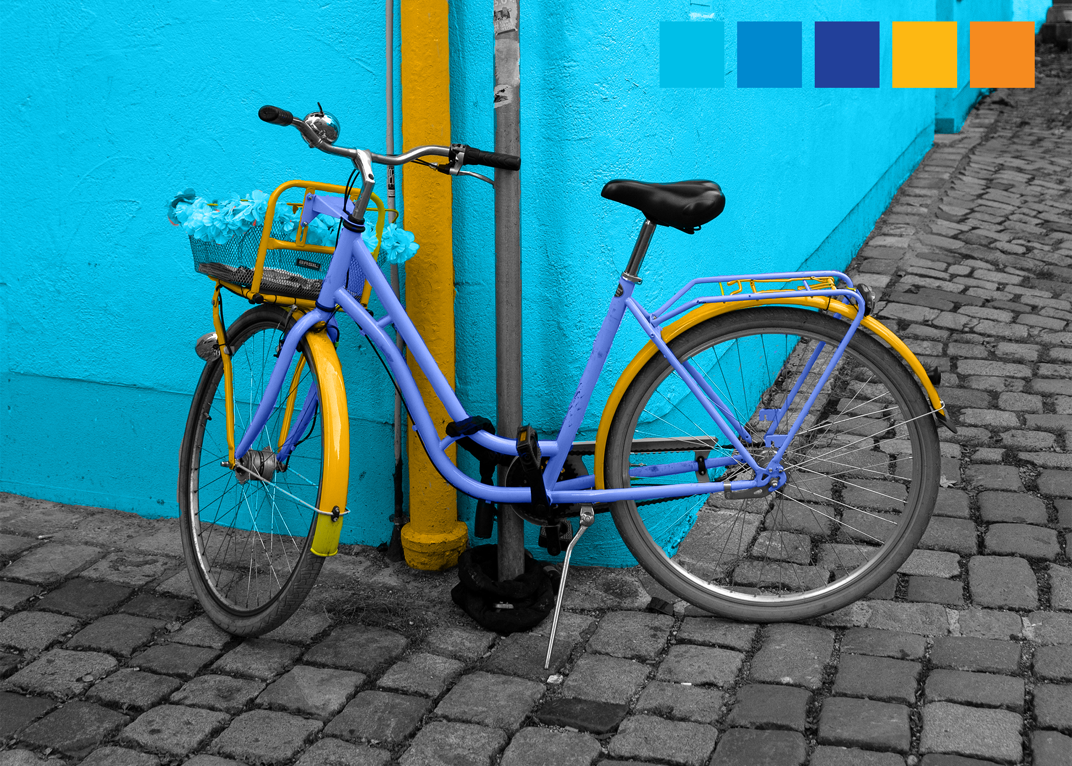 Complementary Bicycle Recolor