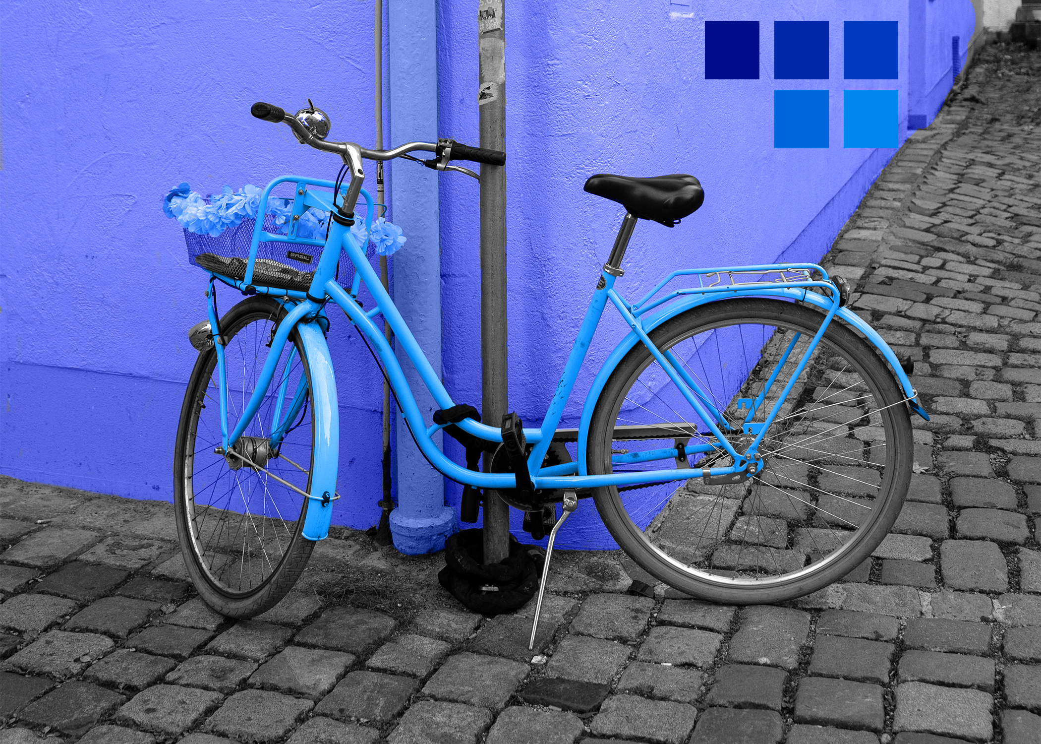 Monochromatic Bicycle Recolor