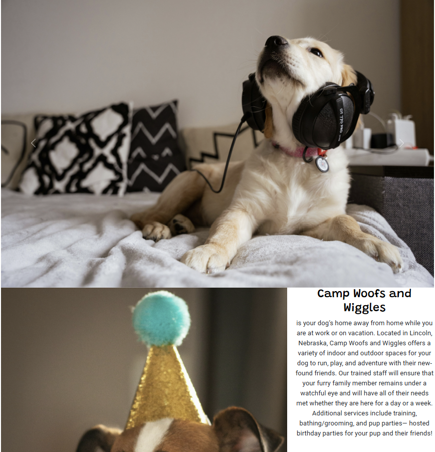 Camp Woofs and Wiggles - About Page